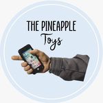 Avatar of The Pineapple Toys🍍