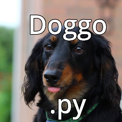Avatar of DoggoPy