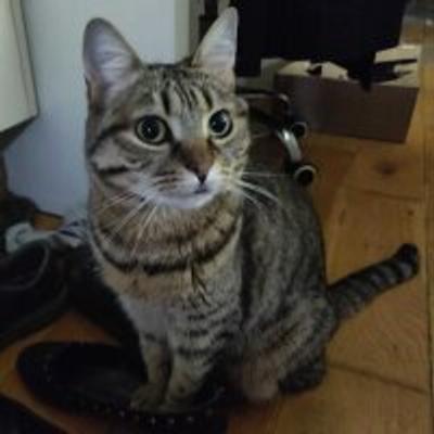 Avatar of luih
