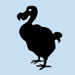 Avatar of dodo 🦤