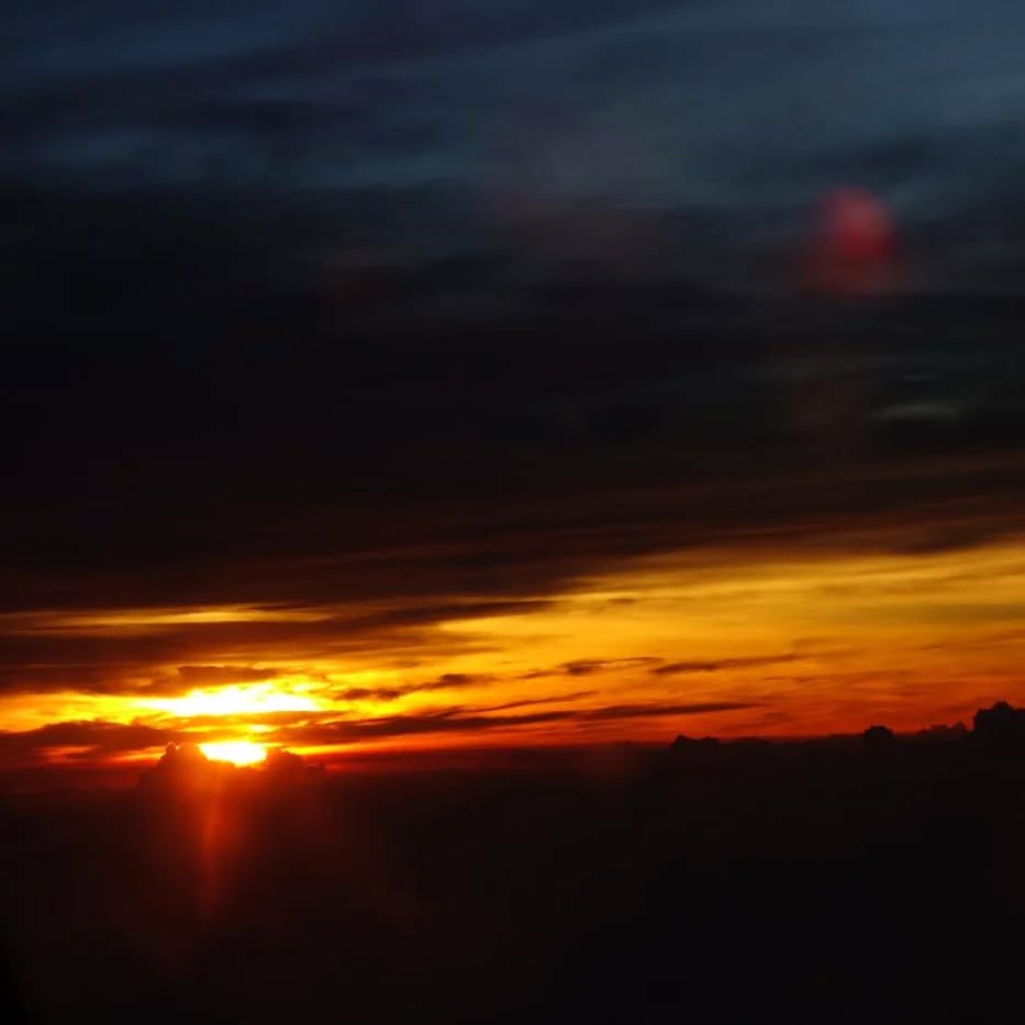 May 19 2024 - 04:10:16 PM