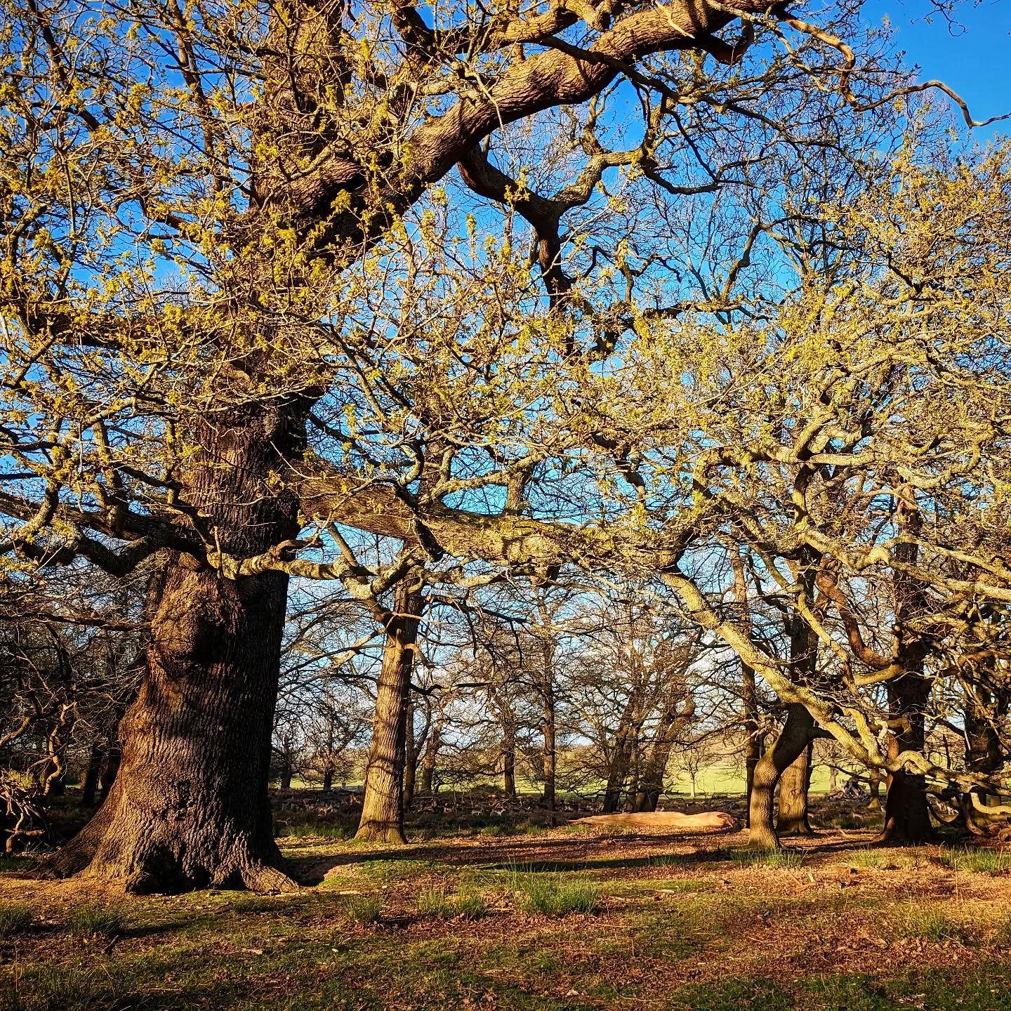 Apr 02 2024 - 03:18:32 AM