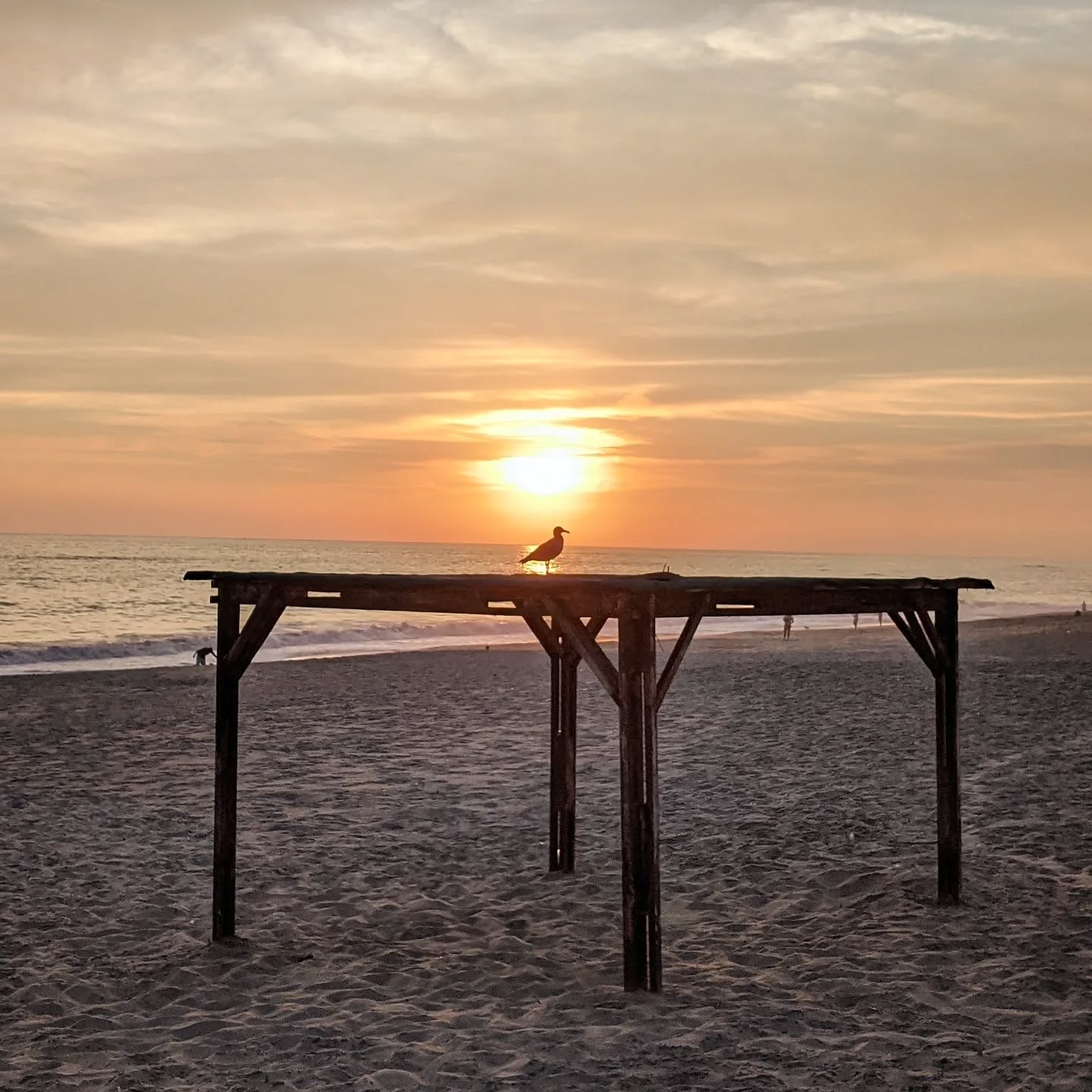 Oct 17 2024 - 01:25:06 PM