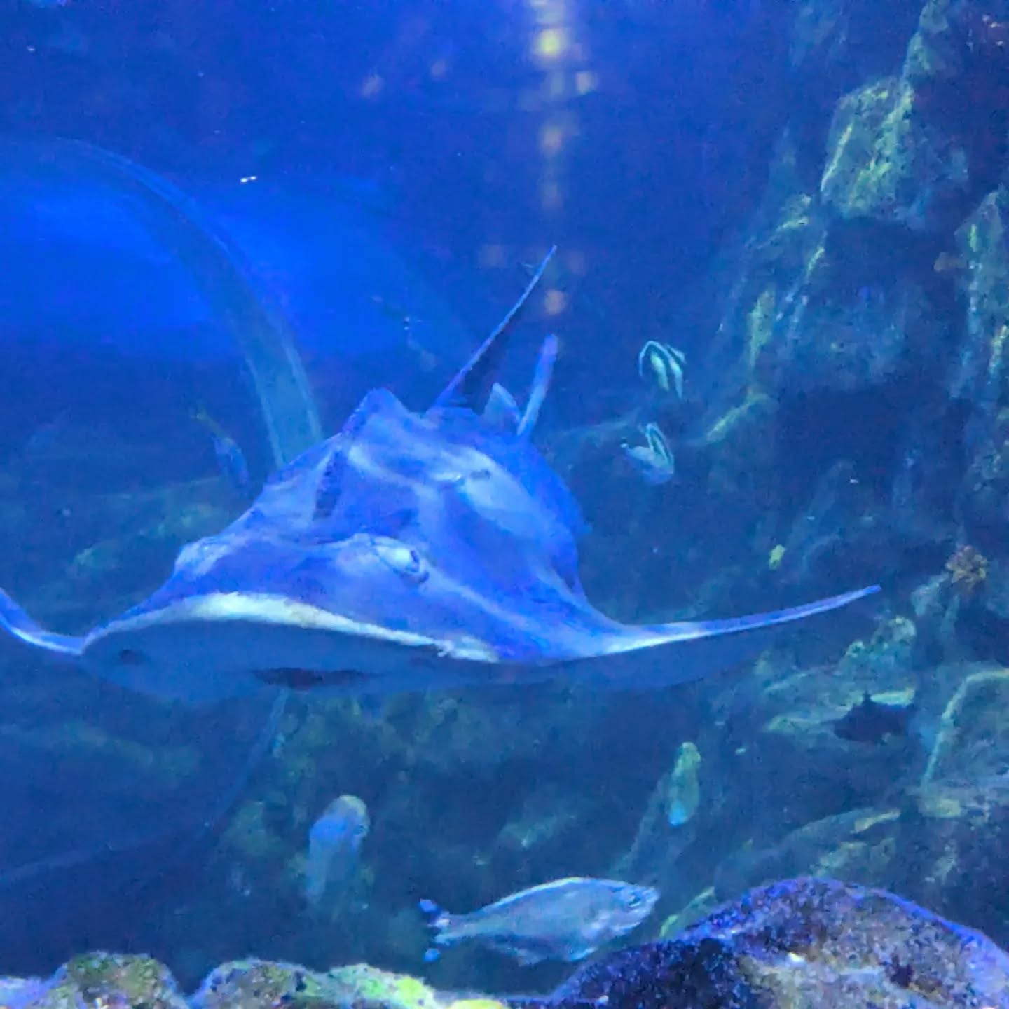 May 17 2024 - 03:17:44 AM